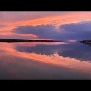 Meet your Posher, Payton